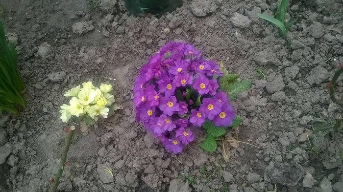 WP_20150323_14_36_15_Pro