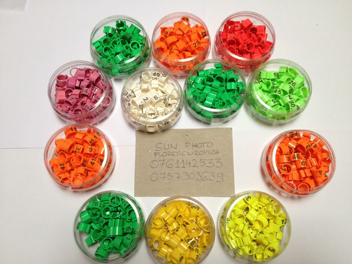 Cleme cu dubla functie si inchidere dubla