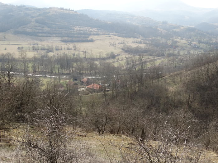 DSC09577 - Diverse fotografii