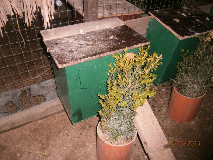 si-a ales cuibarul cu numarul 1...deci este si va fi numarul 1