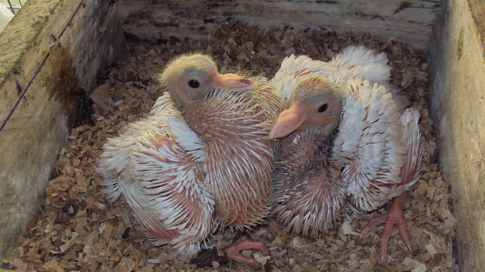 poza 5-la 13 zile...incepem sa punem hainutele :))