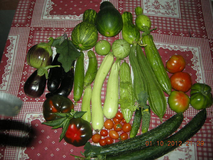 DSCN9970; bucuria  toamnei ,legumele
