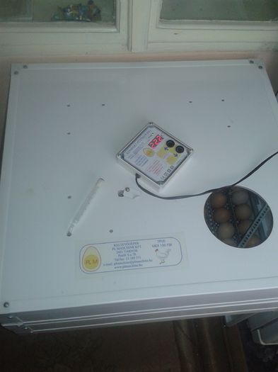 20150322_153903 - incubator pl machine capacitate 100 de oua