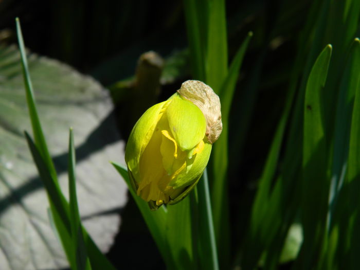 DSCN1094