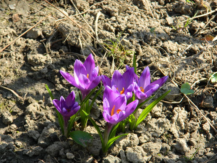 DSCN1108