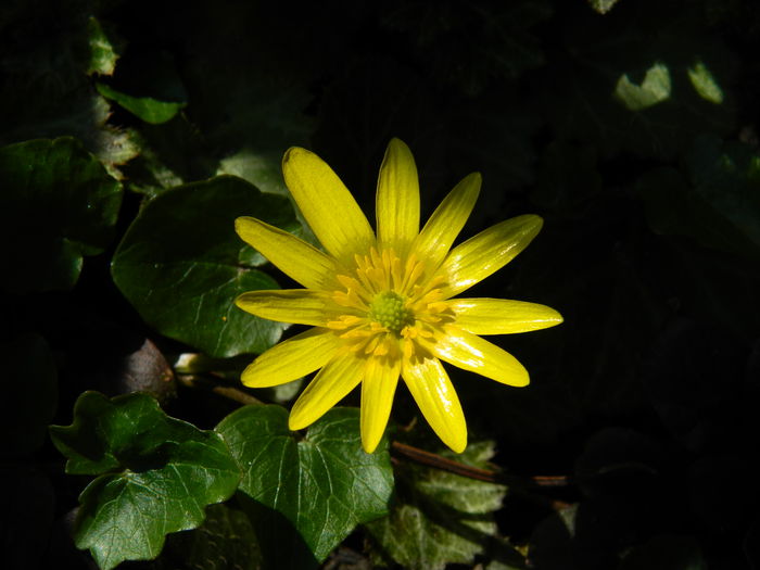 DSCN1111