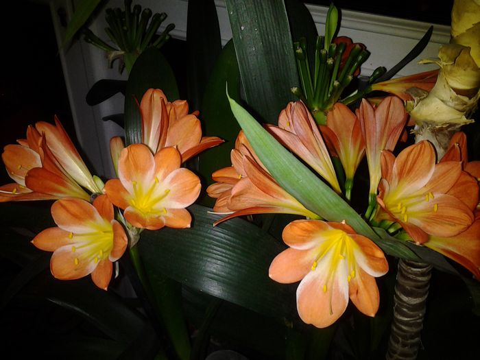 20150324_221212