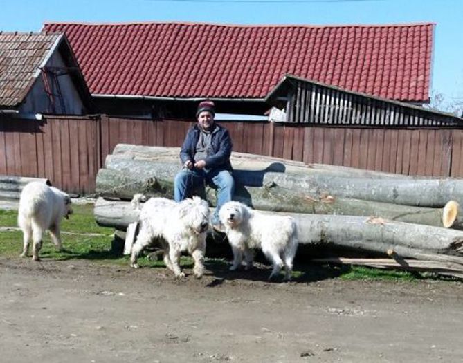 La plimbare pe ulita satului - La tara