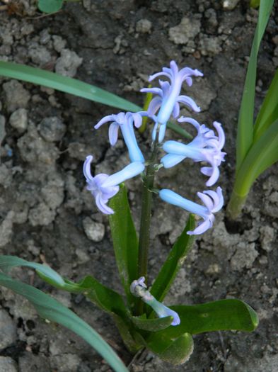 DSCN2578
