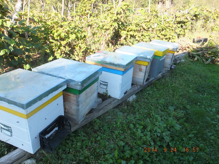 DSCF4447; Gradinita- clasa pregatitoare!
