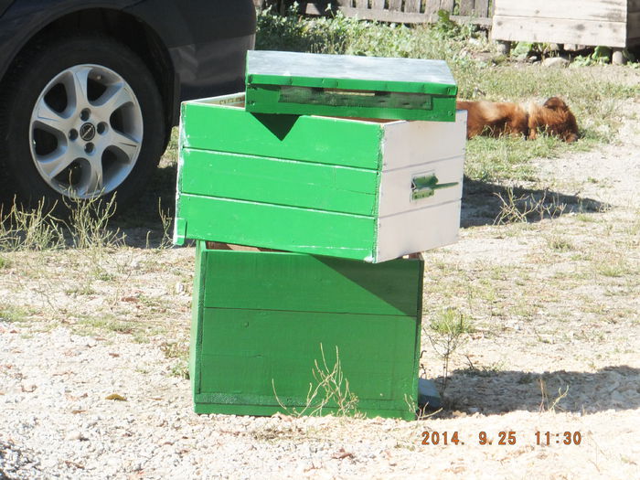 DSCF4466 - Albinute 2014