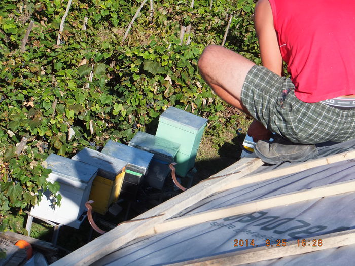 DSCF4585; Direct de pe acoperis :D
