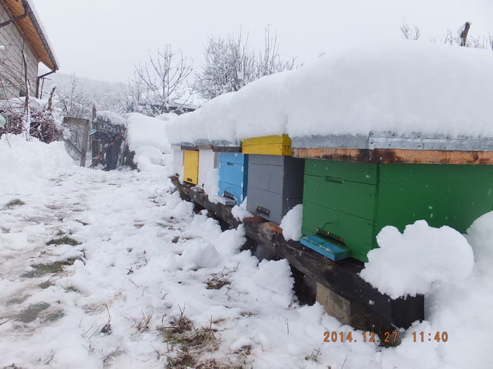 DSCF5097; Deszapezim "autostrada"
