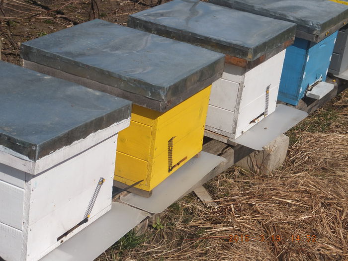 DSCF5655; Noile rampe de zbor.
