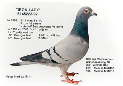 "IRON LADY" - RO-11-2267847-M-LOC 4-VANDUT