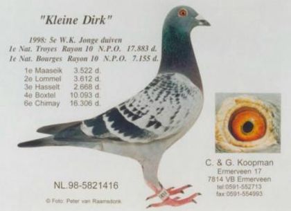 "KLEINE DIRK" - RO-11-2267847-M-LOC 4-VANDUT