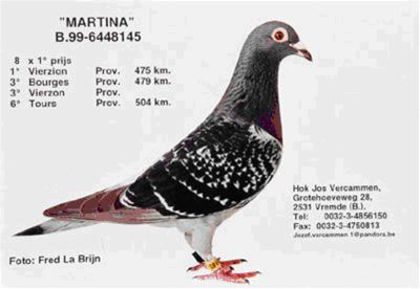 "MARTINA" - RO-11-2267847-M-LOC 4-VANDUT