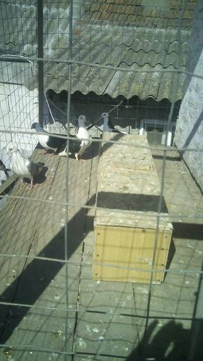 11086058_688308841278043_1561261728_n