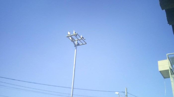 11089153_688309131278014_459410737_n