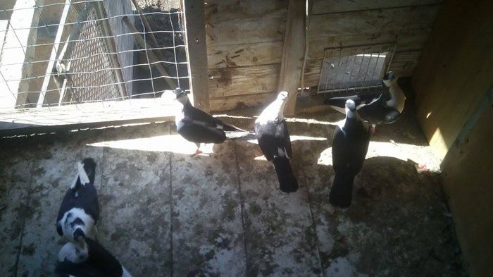 11092663_688309781277949_908617657_n