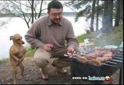 Mai e mult pana e gata?