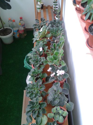 20150327_140329