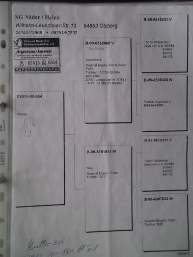 ped.mama la 801 - CUPLUL XI