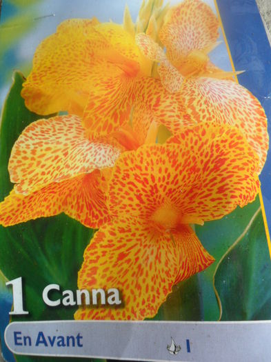 SAM_3627 - achizitii-00