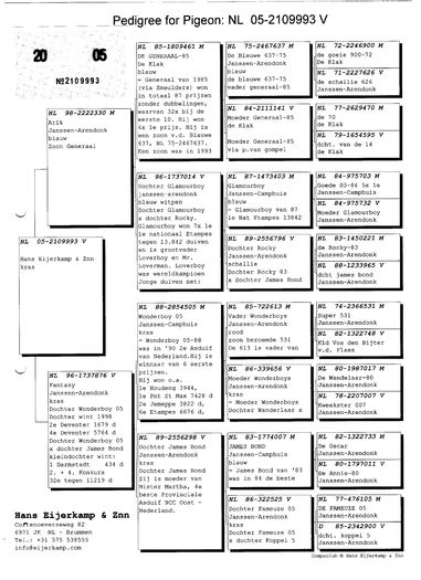 Pedigree ARIK; Toti ascendentii sai sunt porumbei celebrii din crescatoria Eijerkamp(Janssen-De Klak)
