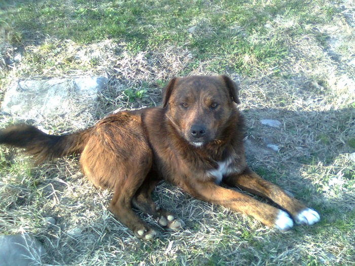 Imagine20883 - AAAA___BOBY