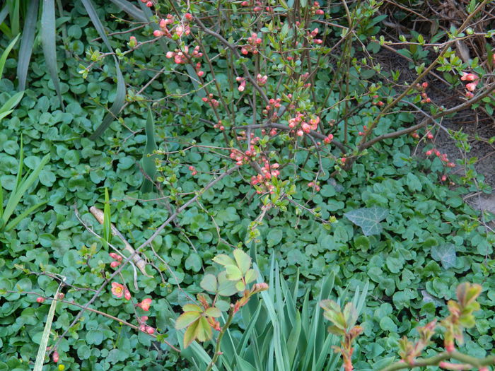 DSCN2577