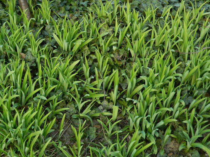 DSCN2613