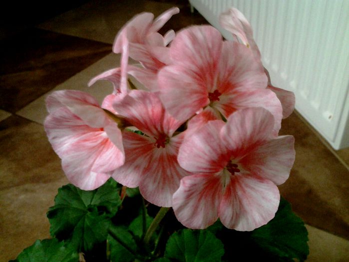 20150328_100113