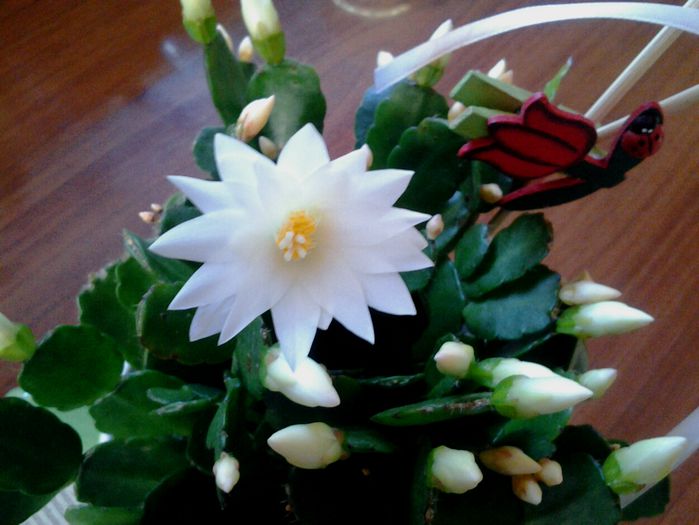 20150326_082330