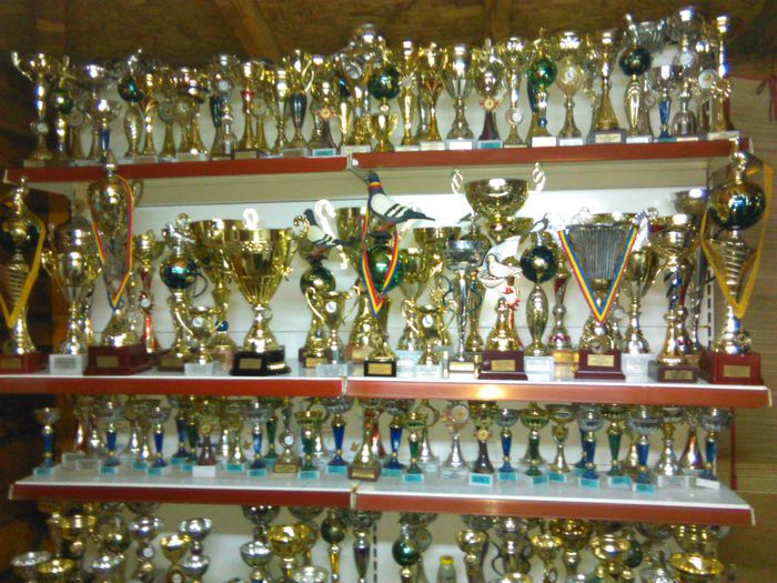 038; trofee 2008-2012
