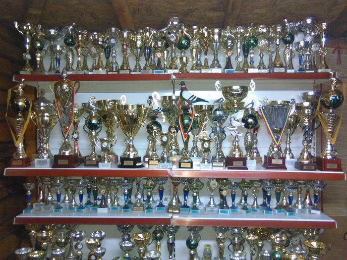 040; trofee 2008-2012
