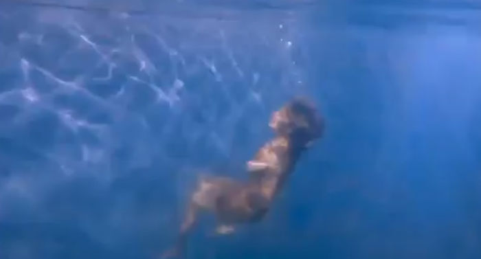 bandicam 2015-03-29 01-23-04-589