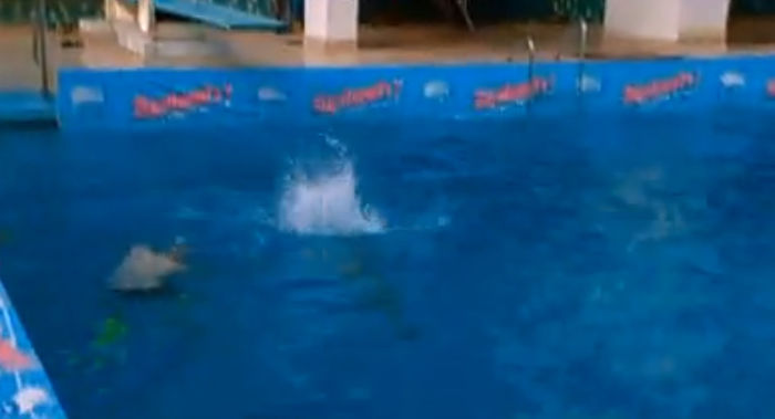 bandicam 2015-03-29 01-26-52-357