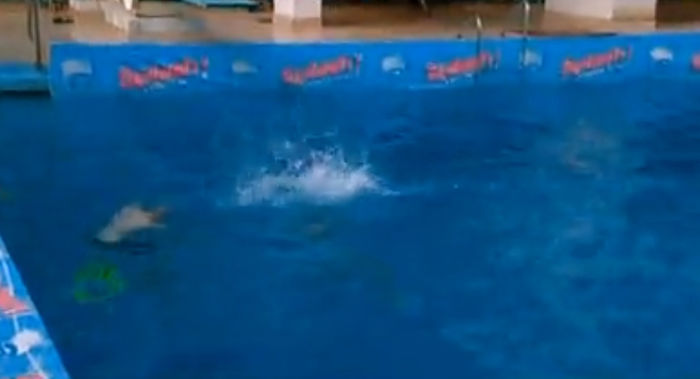 bandicam 2015-03-29 01-26-52-581