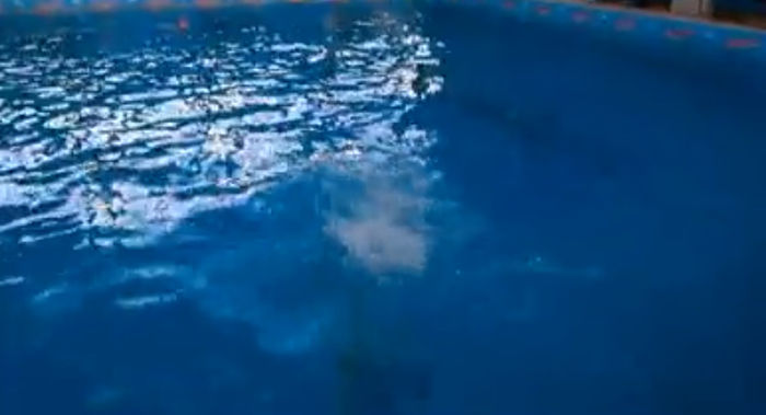 bandicam 2015-03-29 01-27-18-063