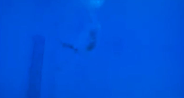 bandicam 2015-03-29 01-35-55-349