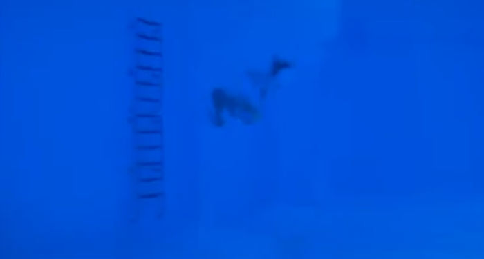 bandicam 2015-03-29 01-35-56-389