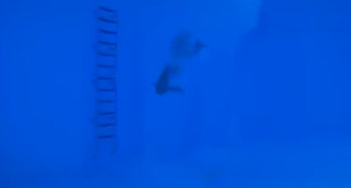 bandicam 2015-03-29 01-35-56-954