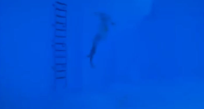 bandicam 2015-03-29 01-35-57-258