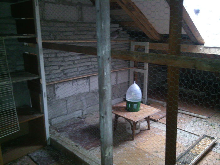 IMG_20150329_081709 - PORUMBEI VOIAJORI