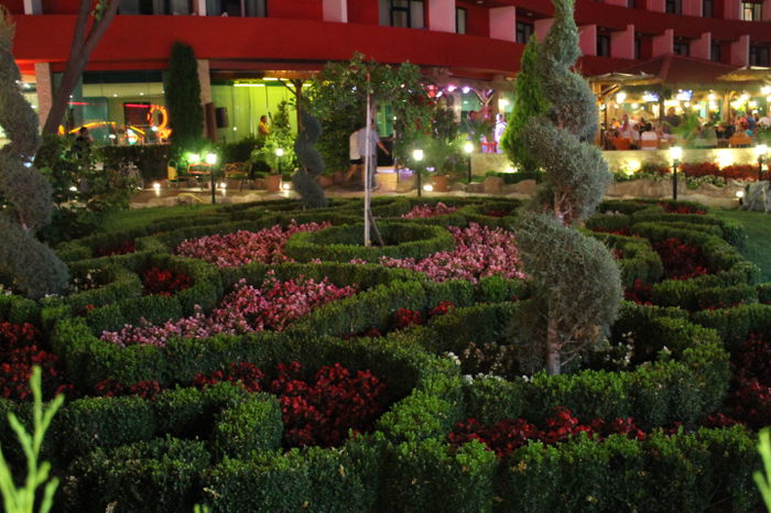 IMG_9926 - bulgaria 2013