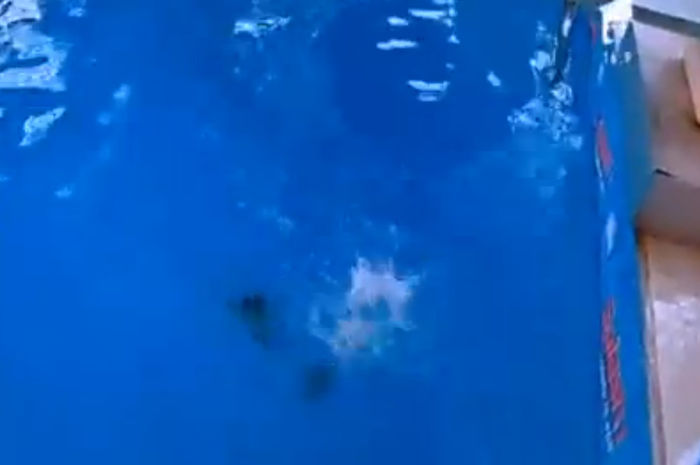 bandicam 2015-03-29 01-55-34-030