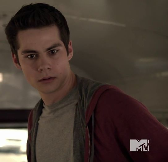 *se dez;;braca speriat idem poza*