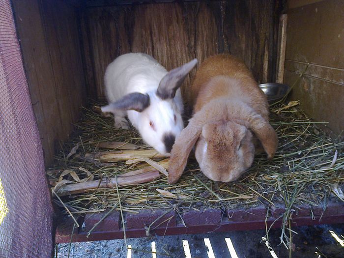 Foto3691