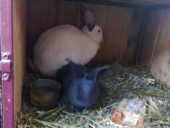 Foto3725